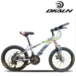 DKALN Taiwan Brand Bicycle 20 Inch High Carbon Steel Frame Mountain Bike Disc Brake YOUKU