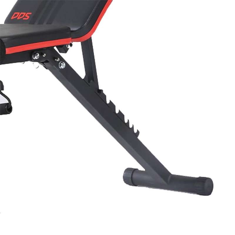 Close-up of adjustable workout bench with ‘DDS’-branded seat and red-accented frame