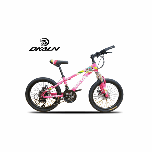 DKALN Taiwan Brand Bicycle 20 Inch High Carbon Steel Frame Mountain Bike Disc Brake YOUKU